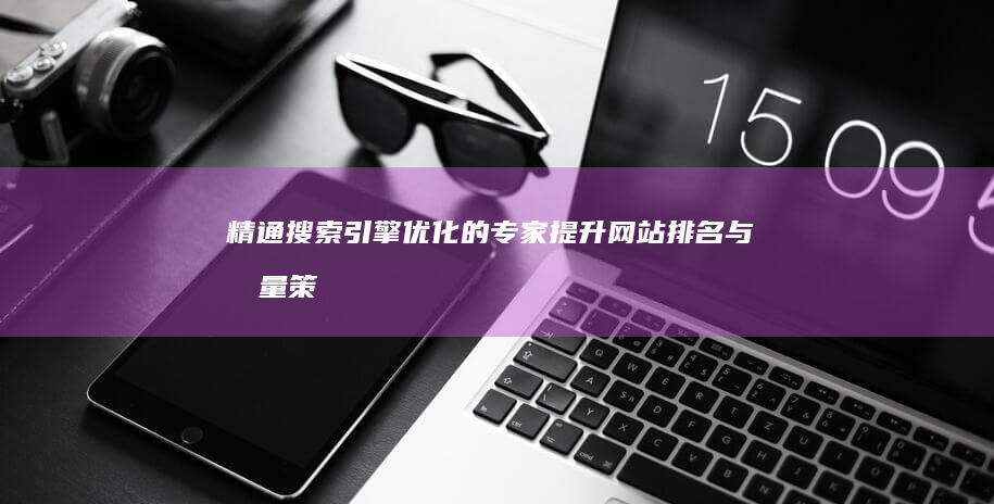 精通搜索引擎优化的专家：提升网站排名与流量策略