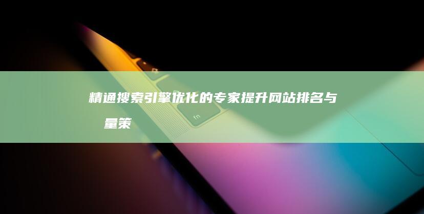 精通搜索引擎优化的专家：提升网站排名与流量策略